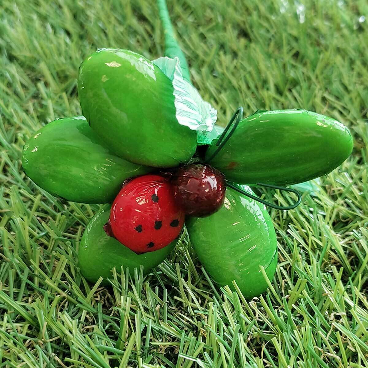 Fleurs de Drag es Chocolat forme Marguerite avec Coccinelle et